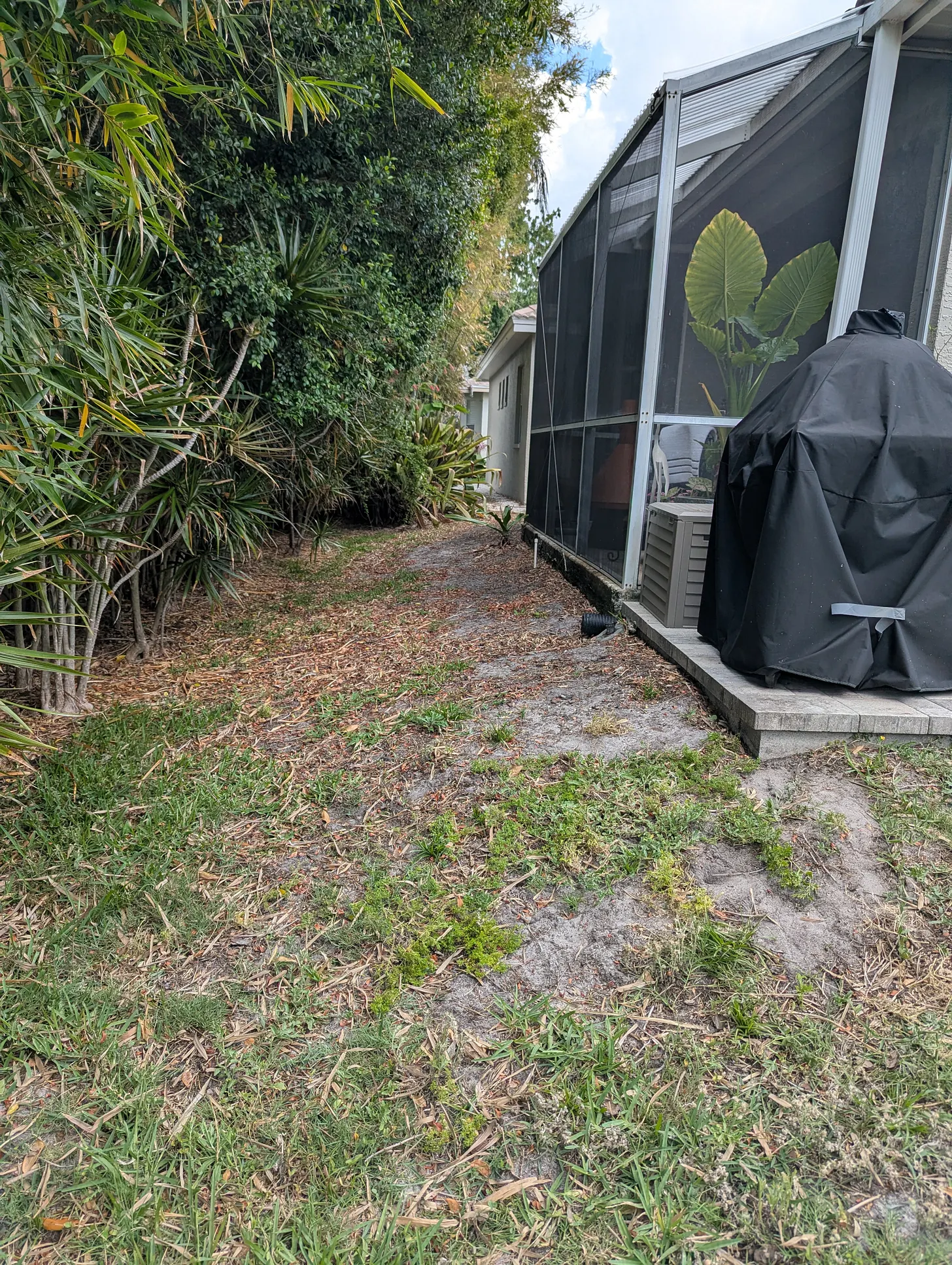 Bare and patchy ground along the sloped strip beside a screened patio before the habitat installation.