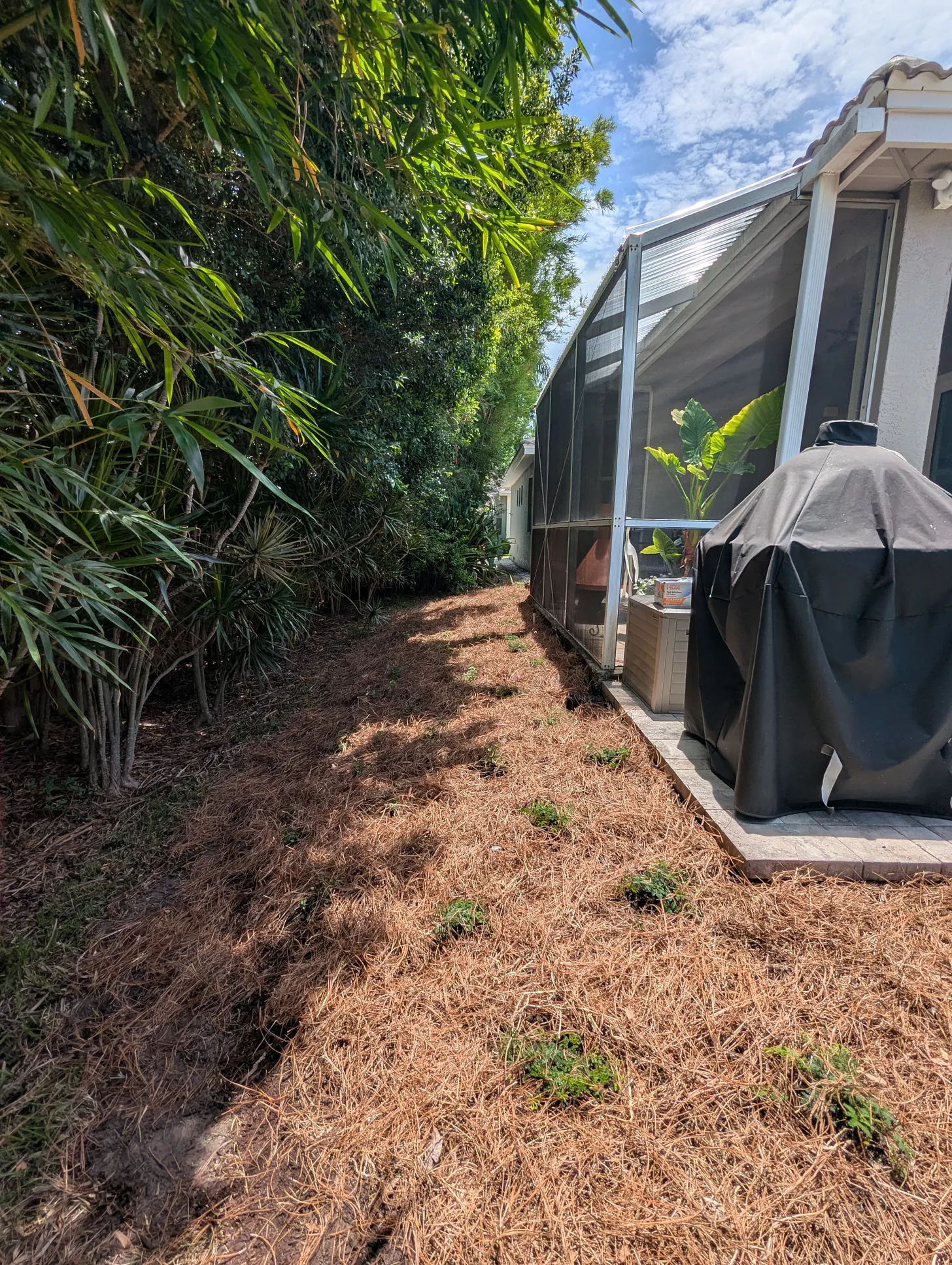 The completed planting strip mulched with pine straw beside the home's screened patio.